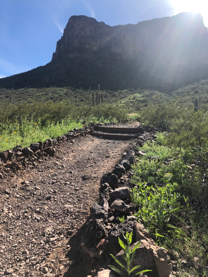 Picacho Peak Run